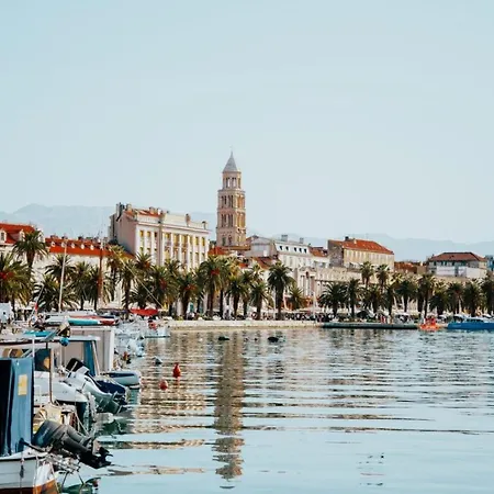 Luxury Lioness * Split